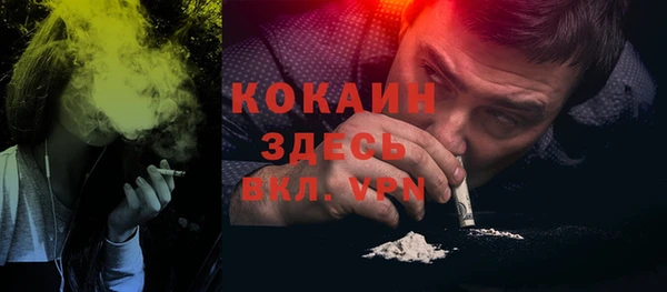 прущие грибы Алексин