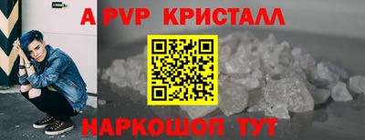 стафф Гатчина