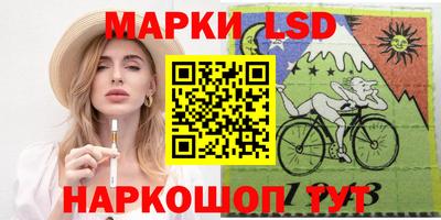 стафф Гатчина