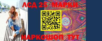 стафф Гатчина