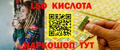 стафф Гатчина