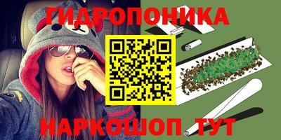 стафф Гатчина
