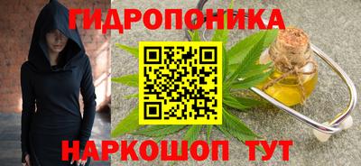 стафф Гатчина