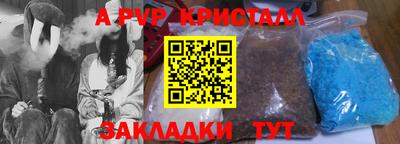 стафф Гатчина