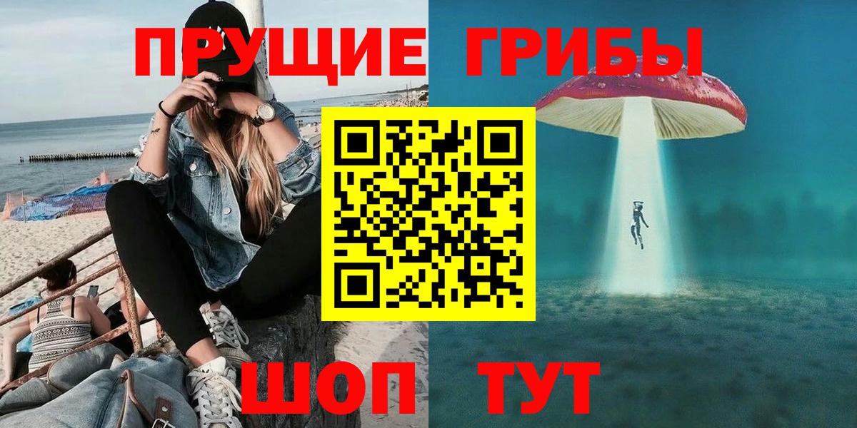 Набережные Челны  Галлюциногенные грибы Psilocybine cubensis  Вход с VPN 